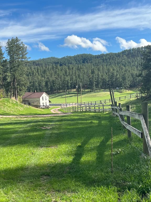 Homestead Place off of 385 - Central Black Hills